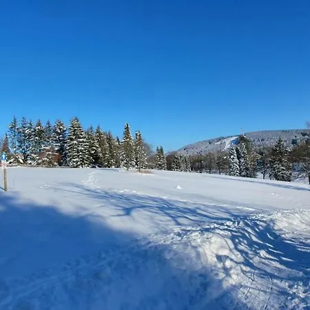 Bergliebe Apartment *